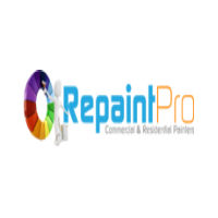 RepaintPro