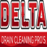 Delta Drain Cleaning Pro’s