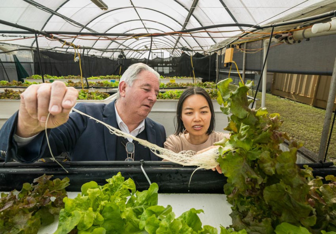 Australian start-up’s circular economy tech gains validation in CSIRO aquaponics study – Australian Manufacturing